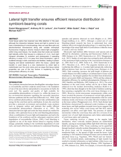 Lateral light transfer ensures efficient resource distribution in