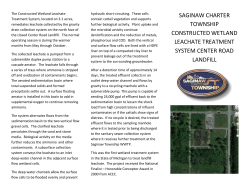 Pamphlet - Saginaw Township