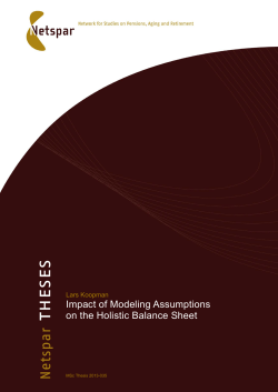 Impact of Modeling Assumptions on the Holistic Balance Sheet