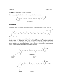 Chem 263 Sept 22, 2009 Conjugated Dienes and