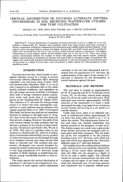 (diptera: psychodidae) in soil receiving wastewater utilized for turf
