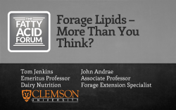 Forage Lipids - Virtus Nutrition