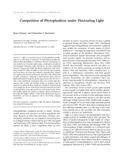 Competition of Phytoplankton under Fluctuating Light