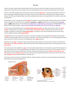 The Eye The eye is the body`s organ of sight. It gathers light from the