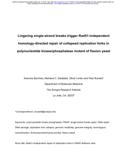 Lingering single-strand breaks trigger Rad51-independent