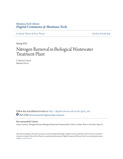 Nitrogen Removal in Biological Wastewater Treatment Plant