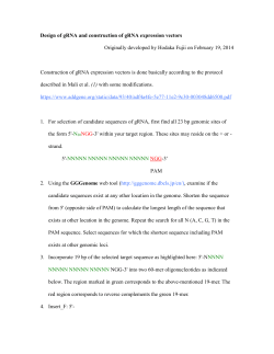 Design of gRNA and construction of gRNA expression vectors