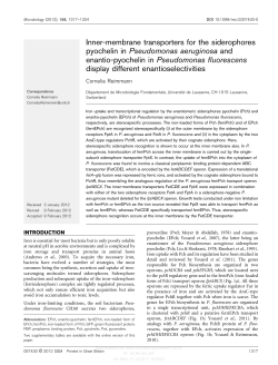 Inner-membrane transporters for the siderophores