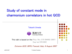 Nagoya E-ken seminar 7/24/07 by T.Umeda - INFN-LNF