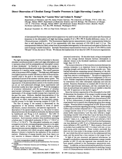 Direct Observation of Ultrafast Energy