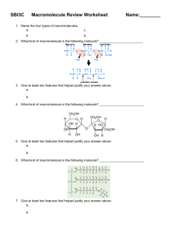 Macromolecule Review