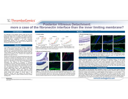 a case of the fibronectin interface than the inner limiting membrane?