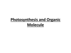 Diffusion through the Membrane State Lab