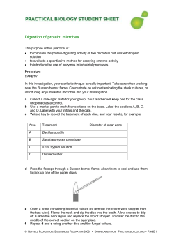 Digestion of protein: microbes