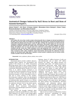 Anatomical Changes Induced by NaCl Stress in Root and Stem of