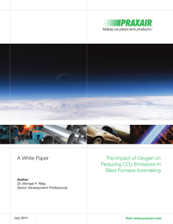 The Impact of Oxygen on Reducing CO2 Emissions in