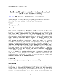 Incidence of drought stress and rewatering on Lotus tenuis. Effects