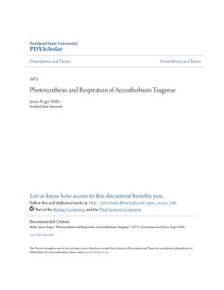 Photosynthesis and Respiration of Arceuthobium