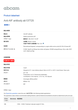 Anti-AIF antibody