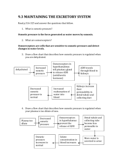 9.3 maintaining the excretory system
