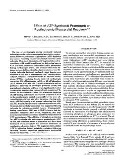 Effect of ATP Synthesis Promoters on Postischemic