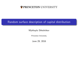 Random surface description of capital distribution