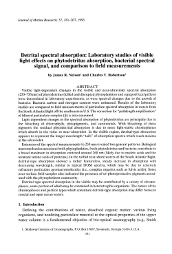 Detrital spectral absorption: Laboratory studies of visible light effects