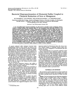 Bacterial Disproportionation of Elemental Sulfur Coupled to