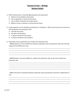 Part C: Compare the effects of a disorder caused by chromosomes