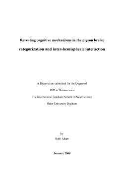 Revealing cognitive mechanisms in the pigeon brain : categorization