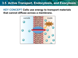 3.5 Active Transport, Endocytosis, and Exocytosis Exocytosis