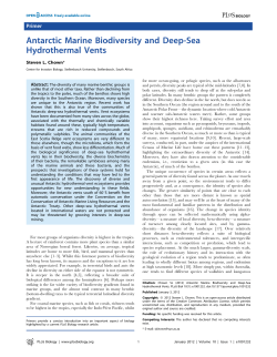 Antarctic Marine Biodiversity and Deep