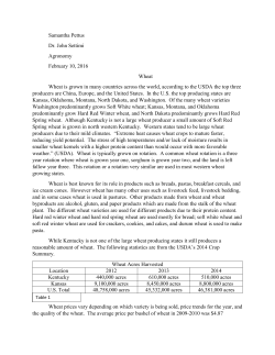 File - Samantha PettusE