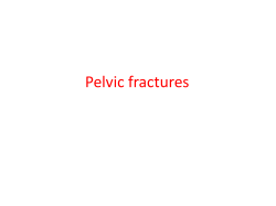 pelvis