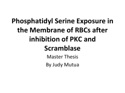 Effect of Chelerythrin,R5421 and Calphostin c on Protein kinase c