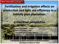 Increased APAR (&uarr;leaf area)