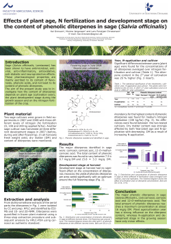 Plant material Extraction and analysis Results Introduction Conclusion