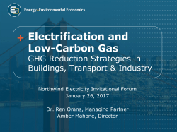 Electrification and Low-Carbon Gas