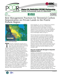 Best Management Practices for Terrestrial Carbon Sequestration on