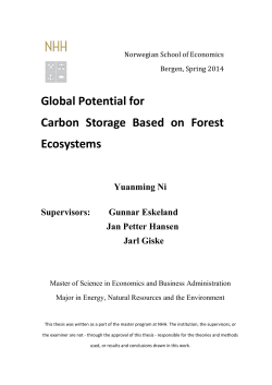 Global Potential for Carbon Storage Based on Forest