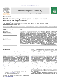 SCOF-1-expressing transgenic sweetpotato plants show enhanced