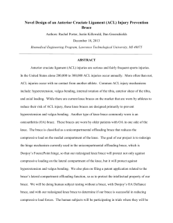 Final Report &ndash; Novel Design of an ACL Injury Prevention Brace