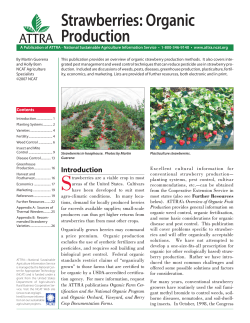 Organic Production - Oregon Strawberries