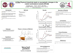 POSTER Template File