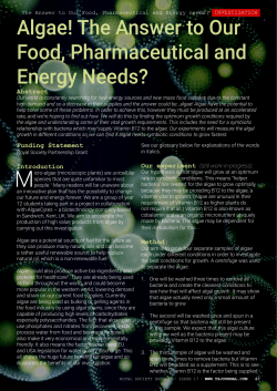 Algae! The Answer to Our Food, Pharmaceutical and Energy Needs?
