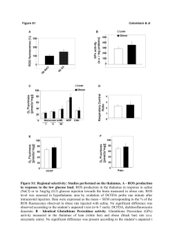 Supplemental Figures