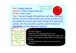 Role: Oxygen molecule Audience: Other oxygen molecules Format