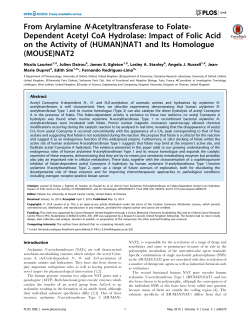 From Arylamine N-Acetyltransferase to Folate