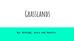 Grasslands