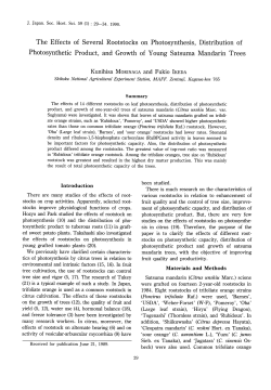 The Effects of Several Rootstocks on Photosynthesis, Distribution of